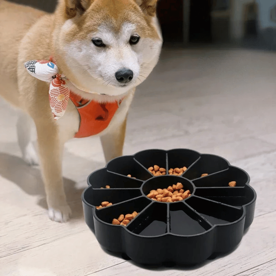 Interactive Dog Food Bowl Non Slip Base