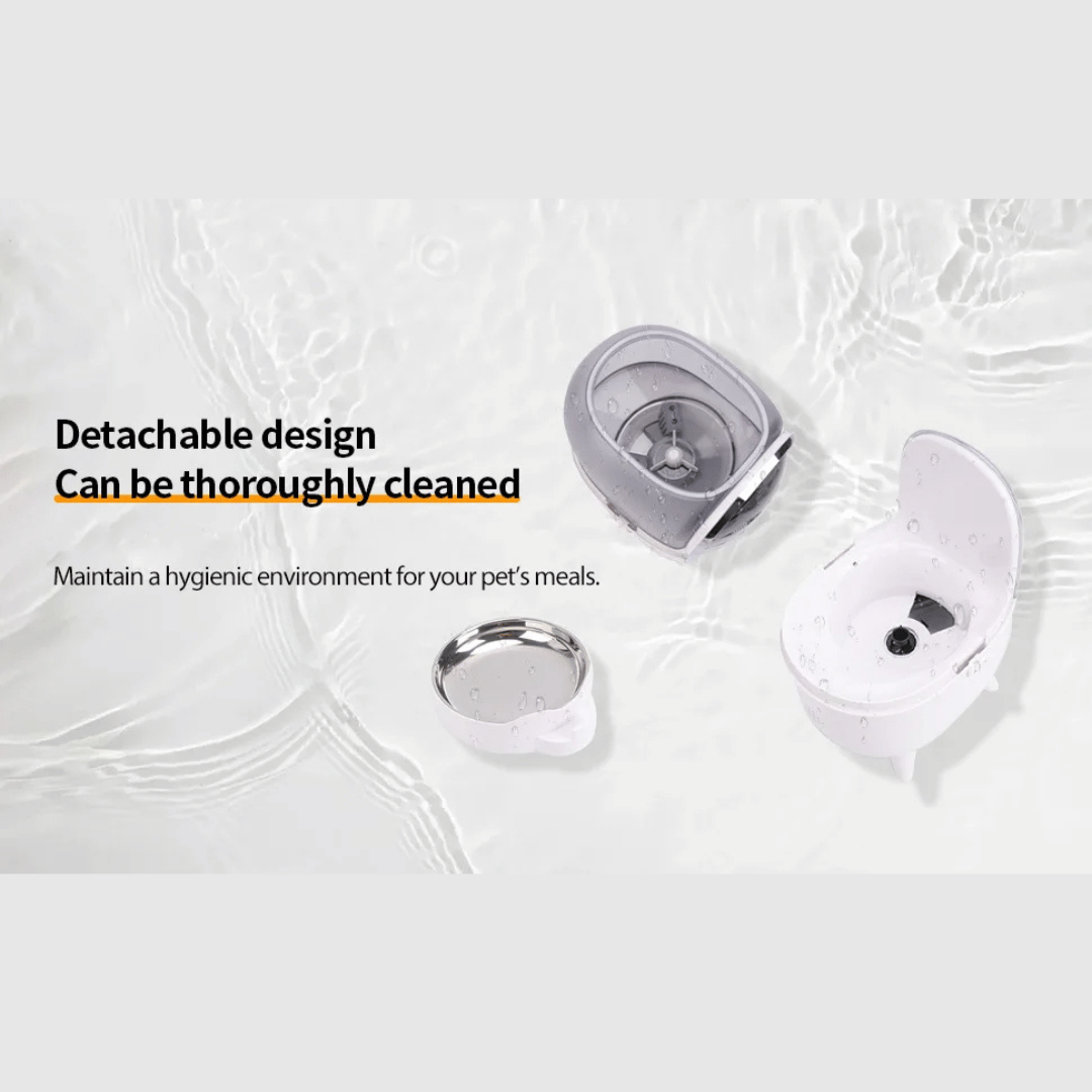 Wi-Fi Automatic Pet Feeder With Mobile App