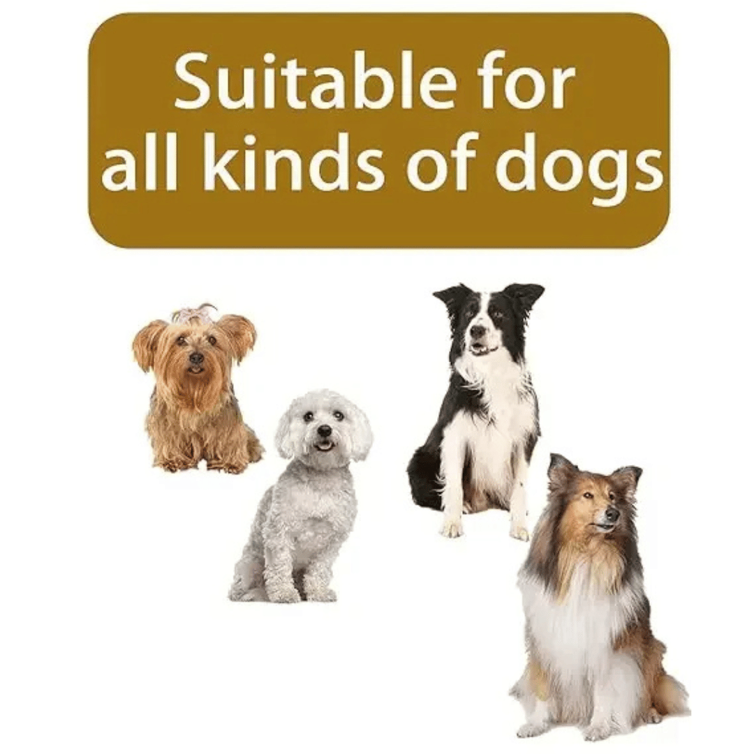 Insulated Dog Winter Coat