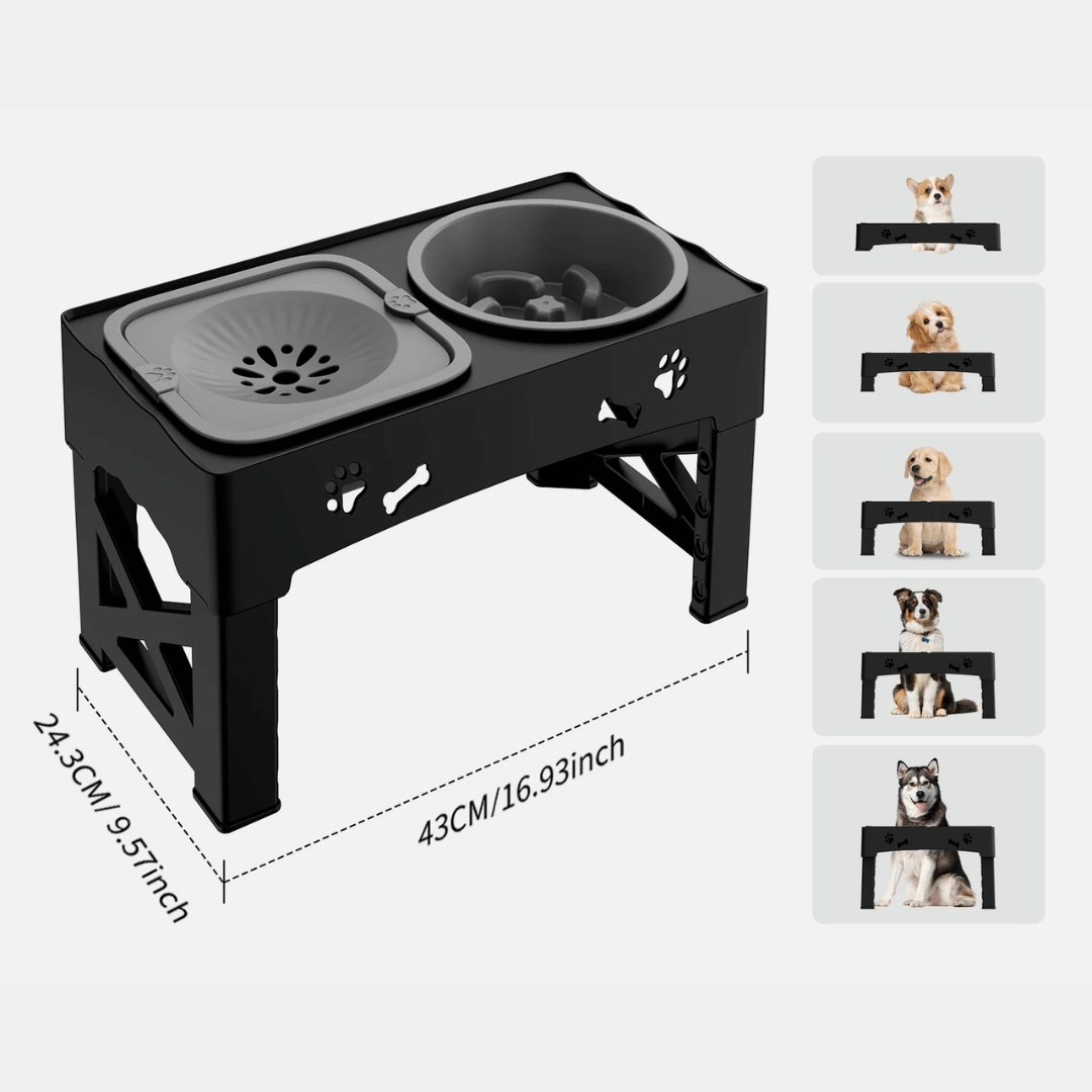 Adjustable Elevated Dog Feeder Stand