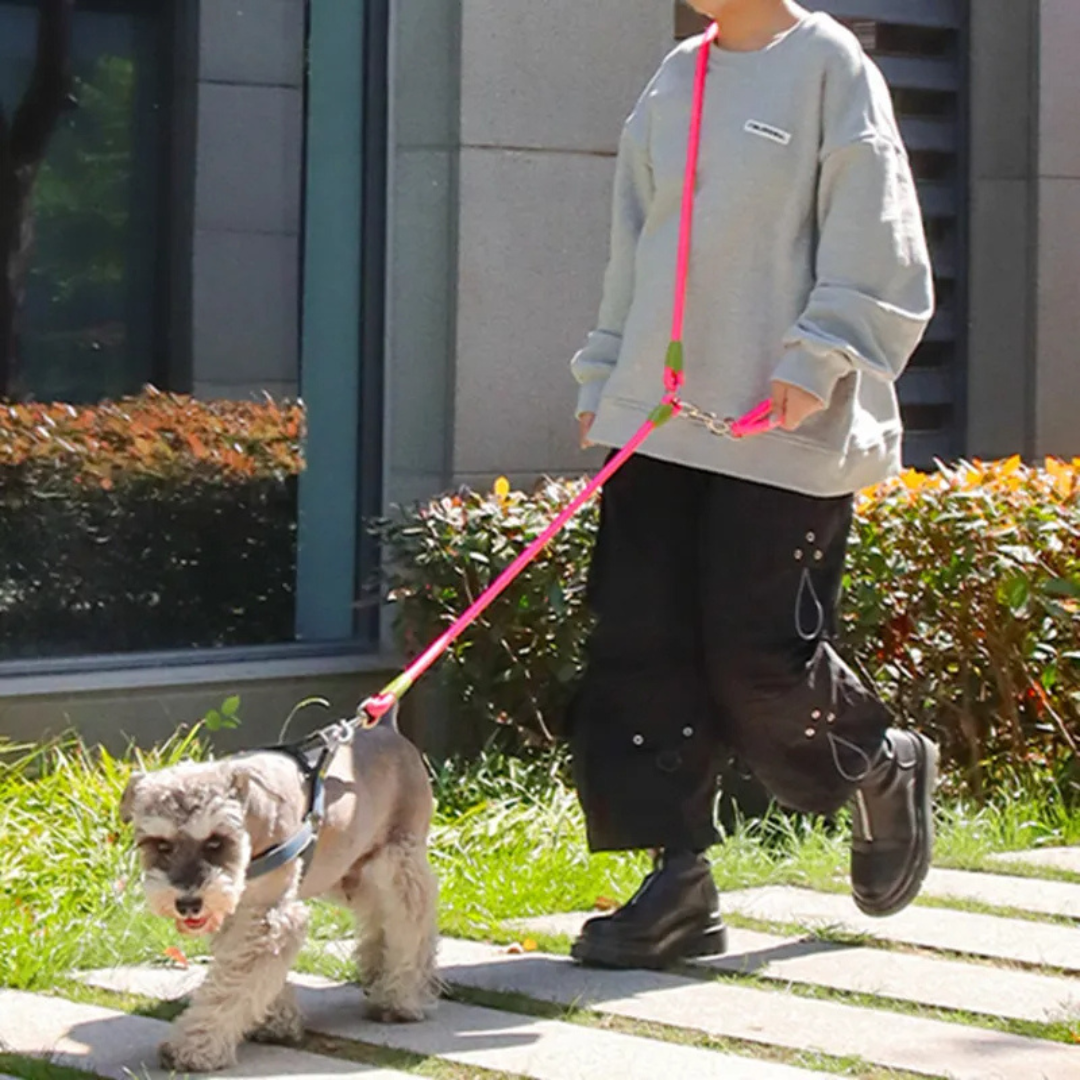 Durable Reflective Dog Leash For Large Breeds Running Walking