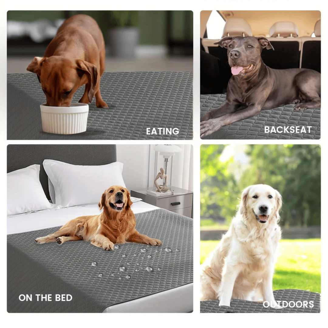 Pet Sofa Bed Waterproof Cover Protector