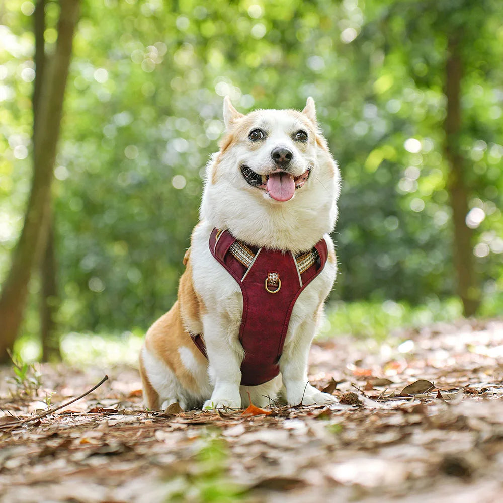 Adjustable Pet Harness Reflective Belts