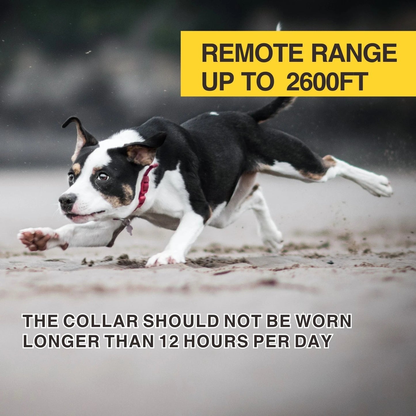 Rechargeable Waterproof Long Range Dog Training Collar