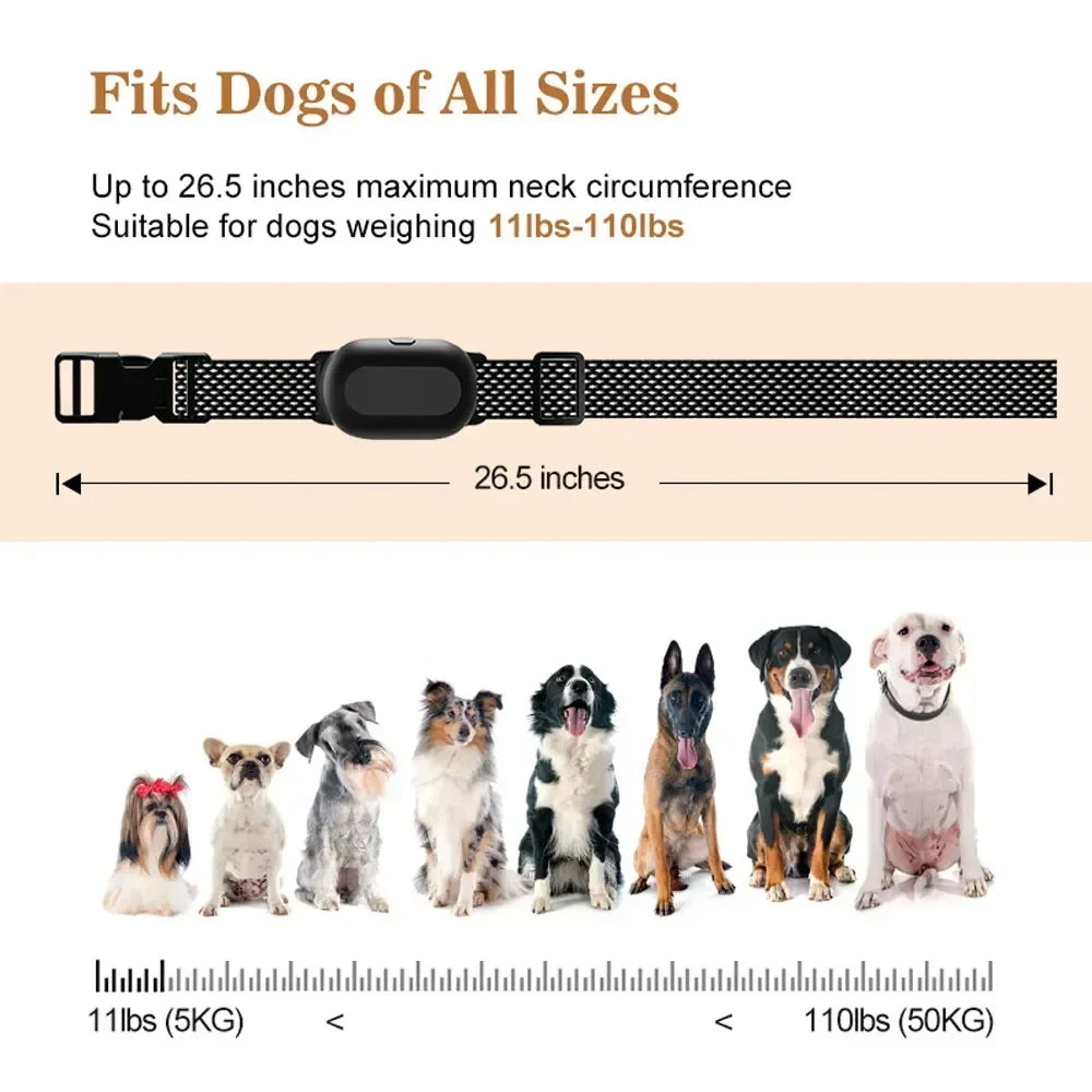 Remote Dog Training Collar Long Range