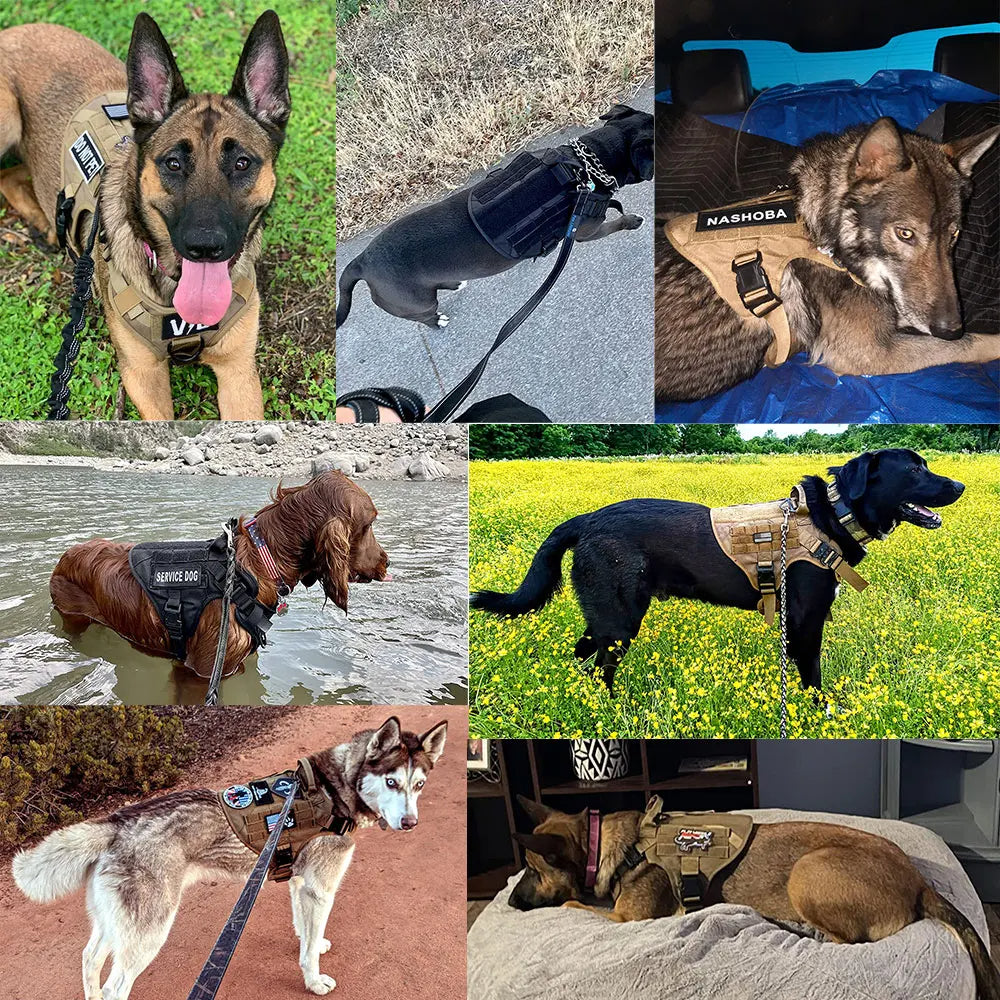 Durable Dog Harness Vest With Handle