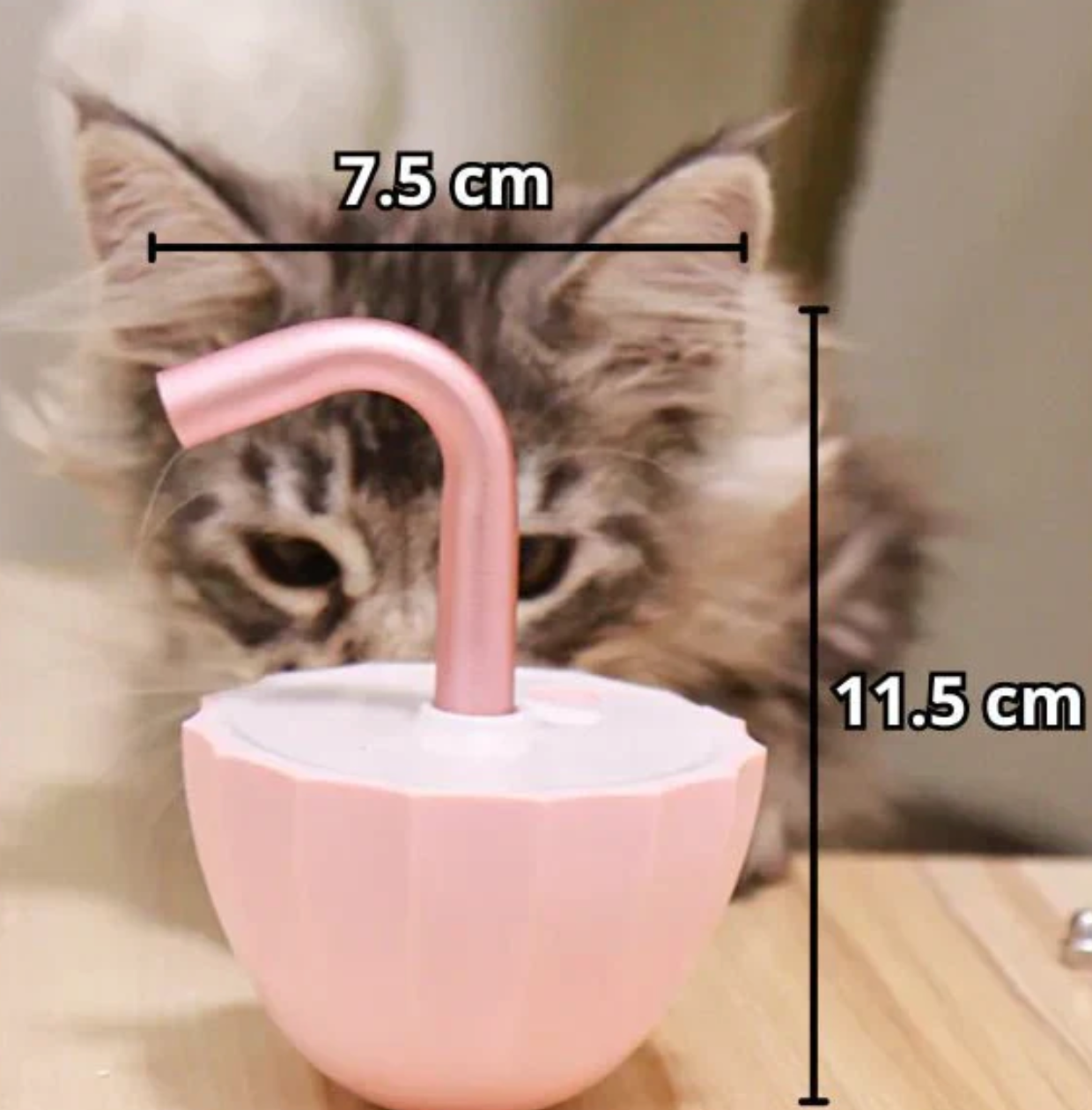 Laser Hunt Fidget Toy