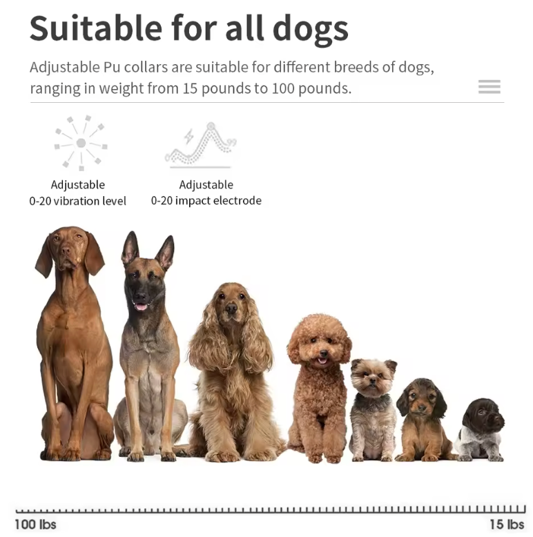 Dog Training Collar Intelligent