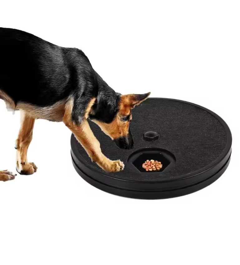 Cat Scratch Pad