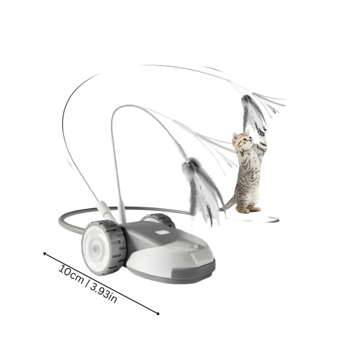 Chase Whisker Interactive Cat Toy
