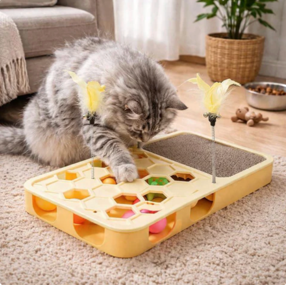 Interactive Treat Board
