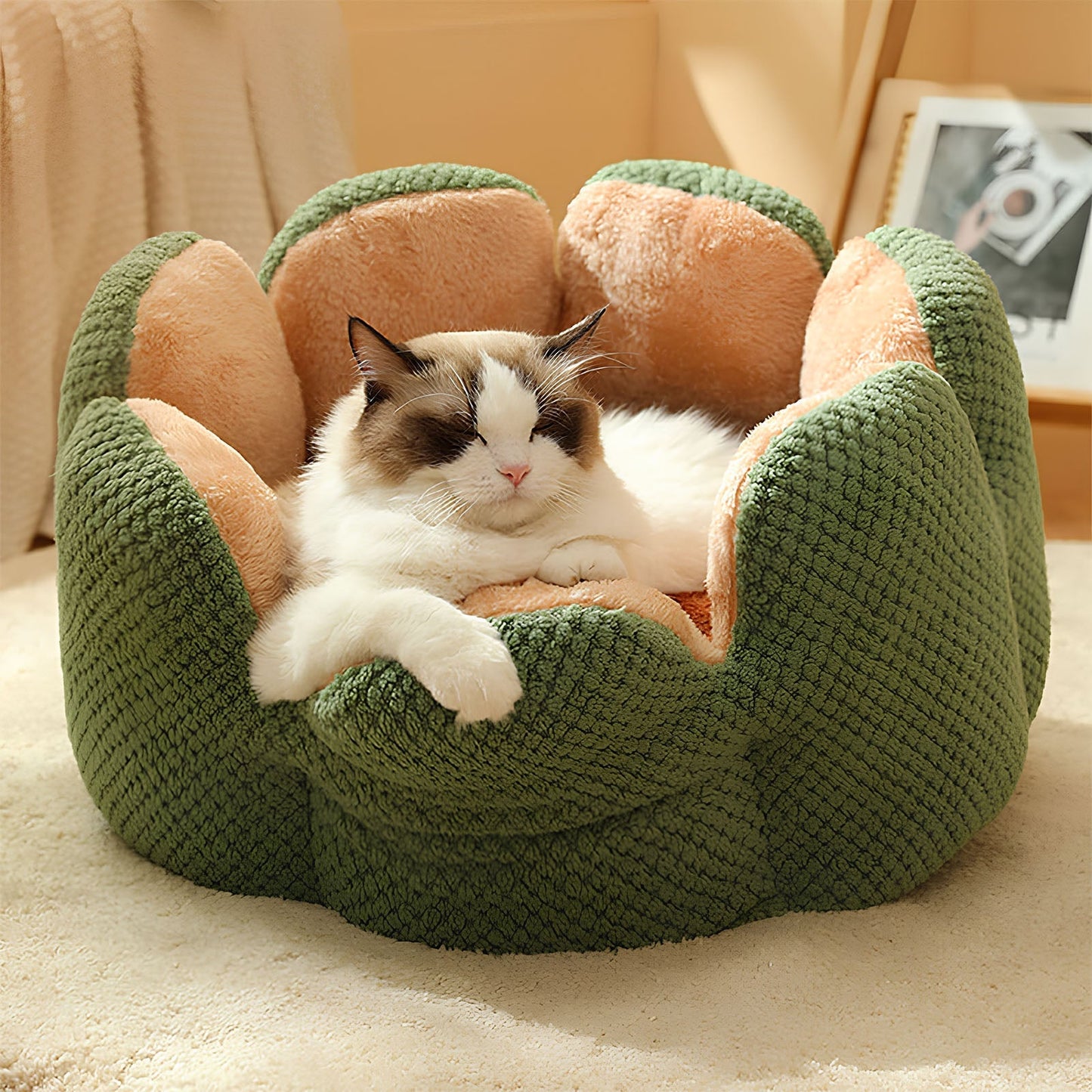 Pet Bed For Cats And Dogs Fun Shape