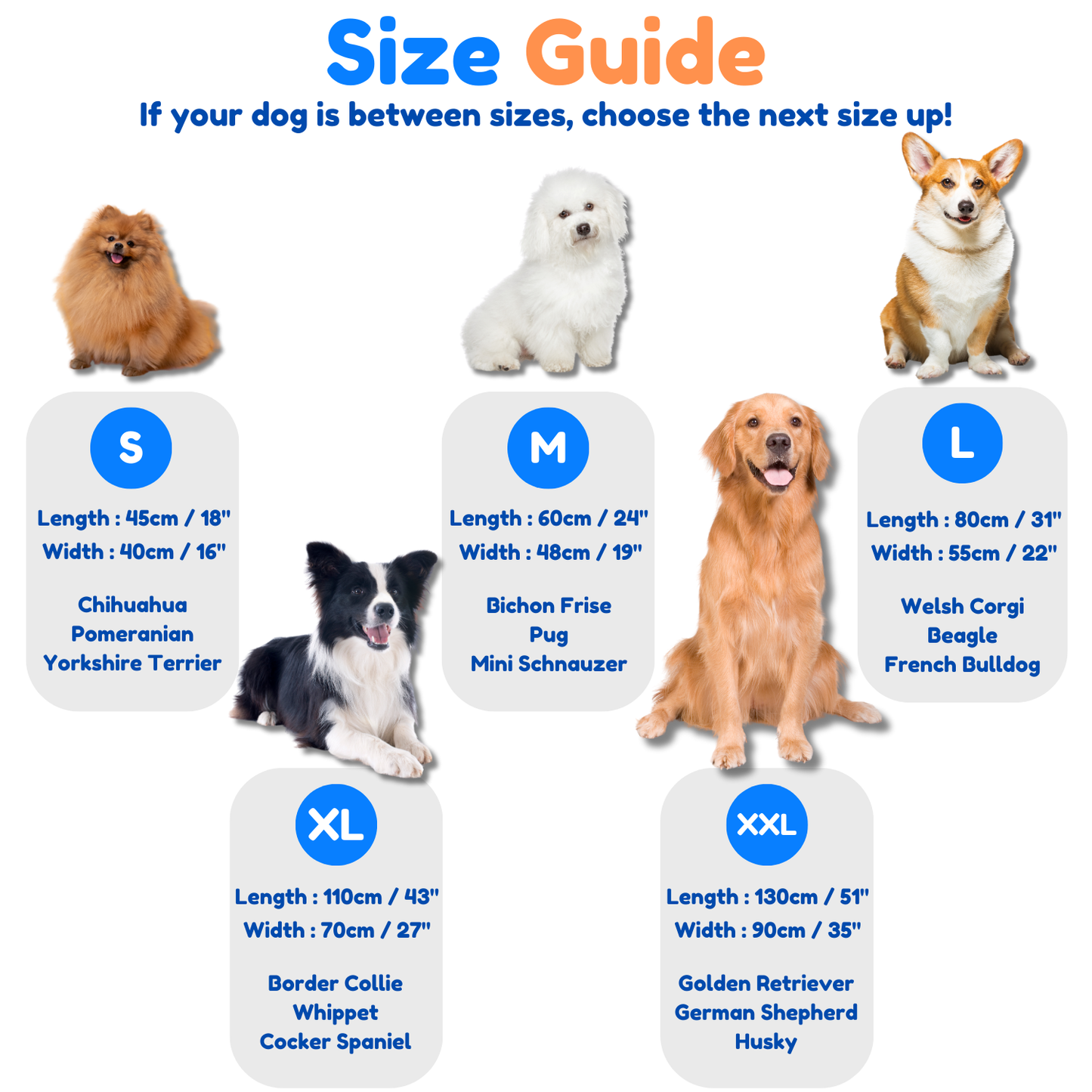 Pupporia | Orthopedic Waterproof Dog Bed with Removable Washable Cover