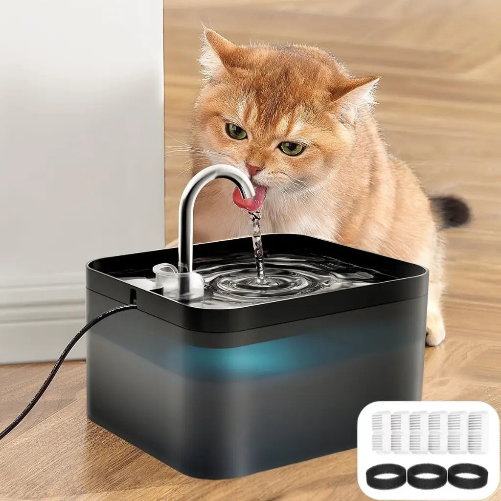 Cat drinking water from a black pet fountain on a wooden floor