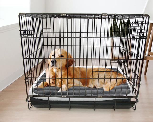 Orthopedic Gel Foam Pet Bed Mattress