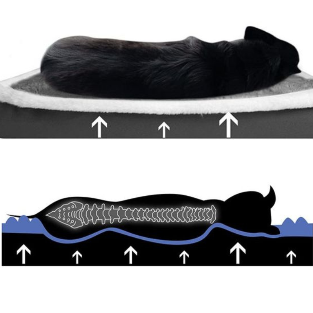 Orthopedic Dog Mattress Plush Washable Zip Cover