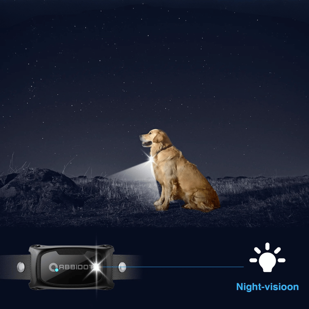 Long Distance Dog Training Collar Remote