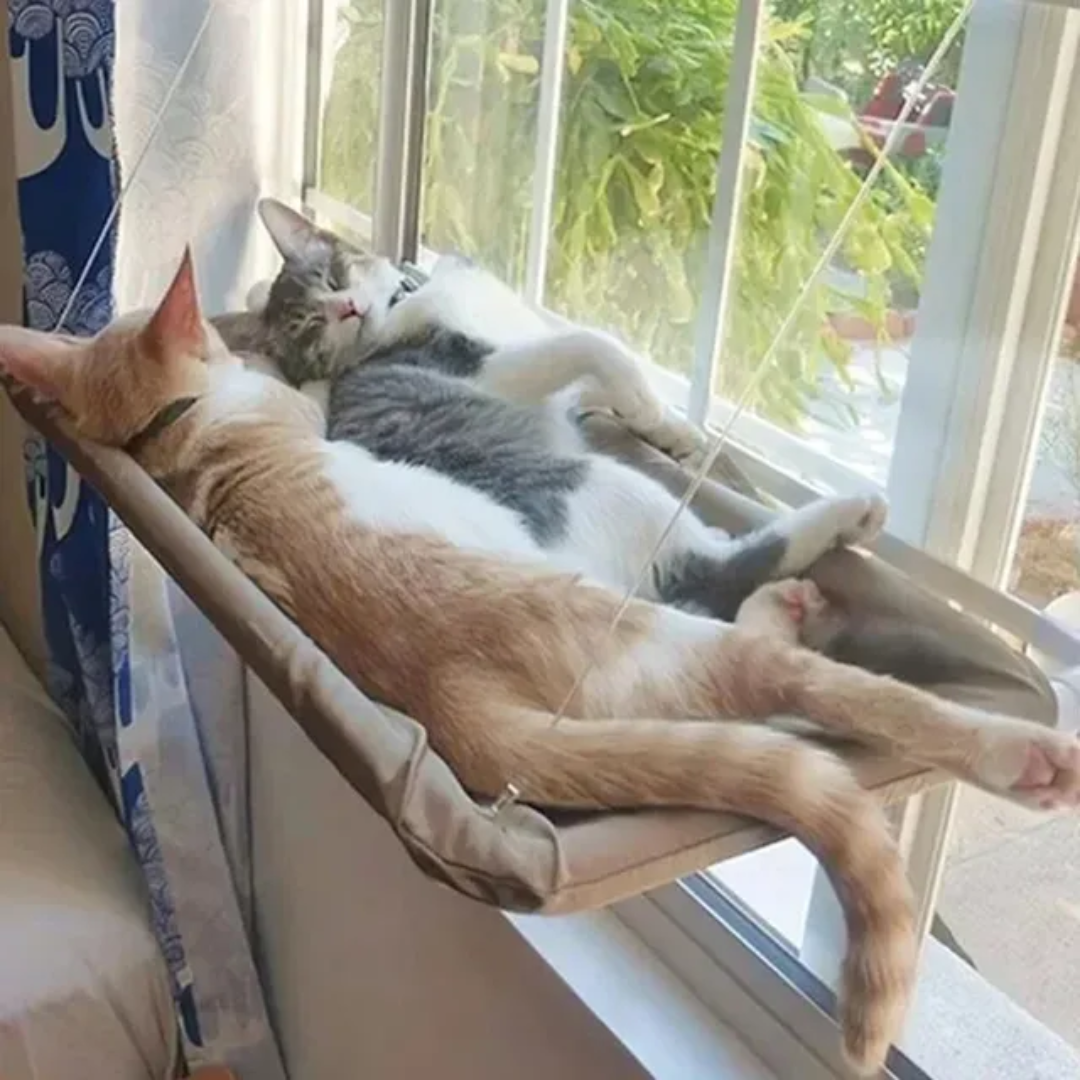 Cat Window Seat Perch