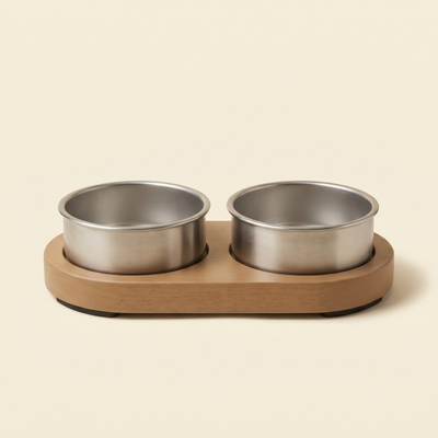 Dog Bowls & Feeders