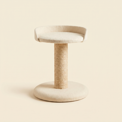 Cat Furniture & Scratchers