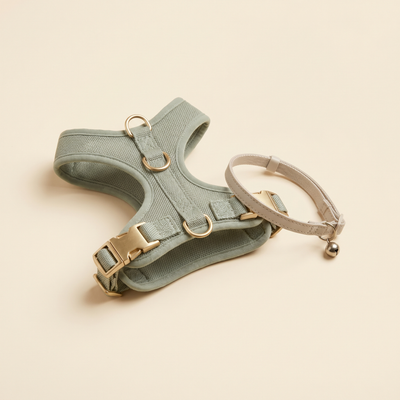 Cat Collars & Harnesses