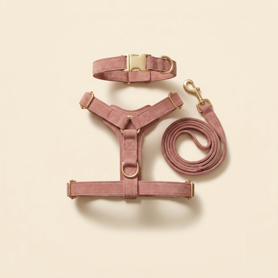 Dog Collars, Harnesses & Leashes