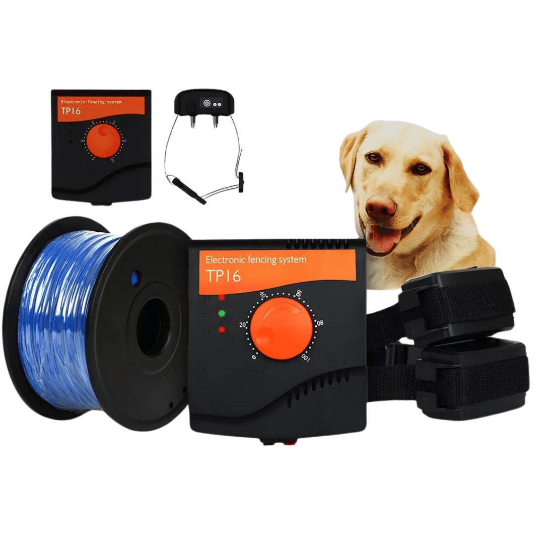 Pet Enclosure System Wireless Transmitter Large