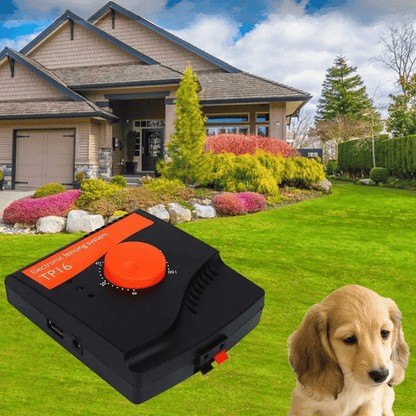 Pet Enclosure System Wireless Transmitter Large