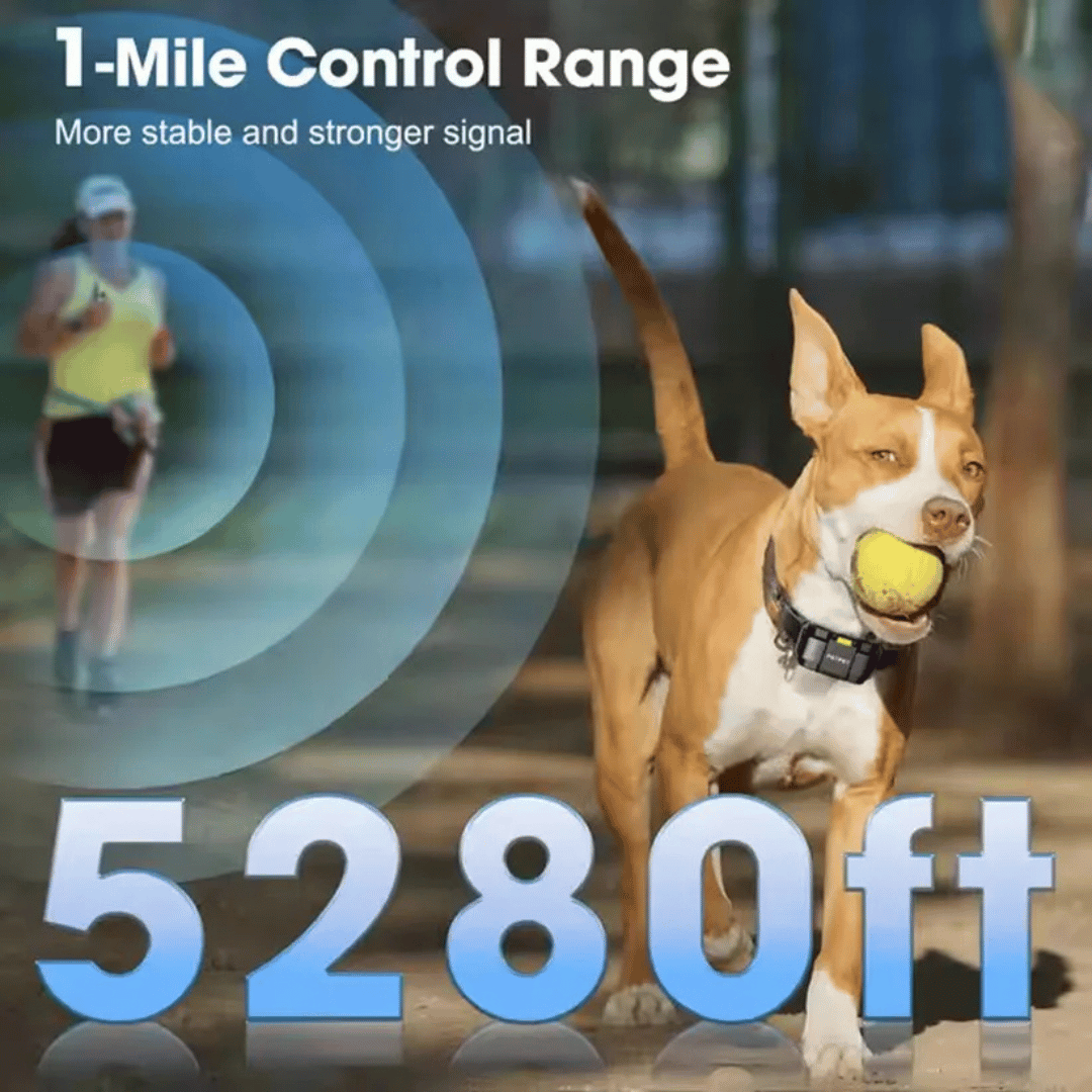 Long Range Remote Dog Training Collar Large Breed