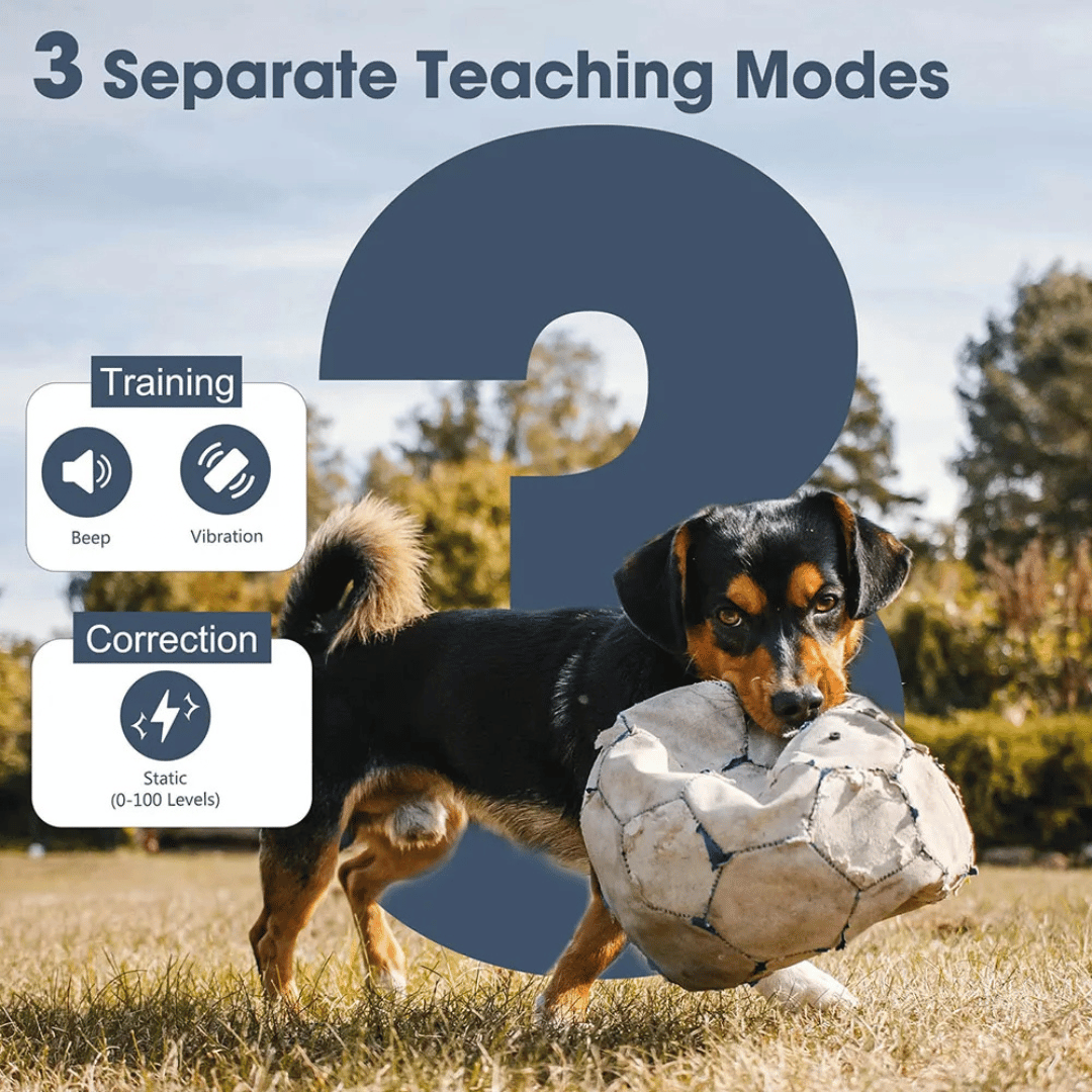 Long Range Remote Dog Training Collar Large Breed