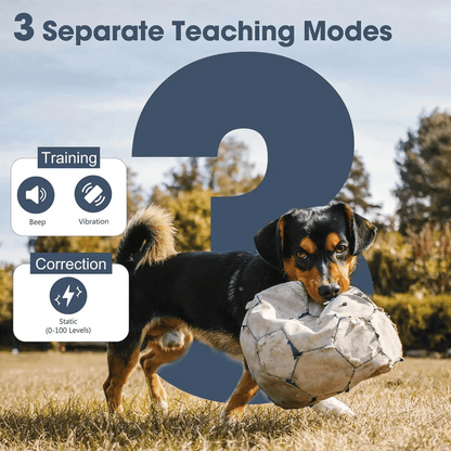 Long Range Remote Dog Training Collar Large Breed