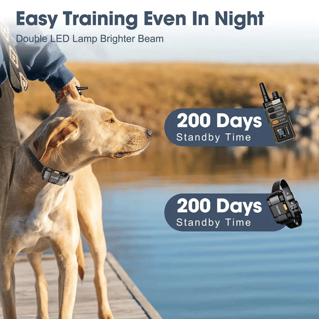 Long Range Remote Dog Training Collar Large Breed