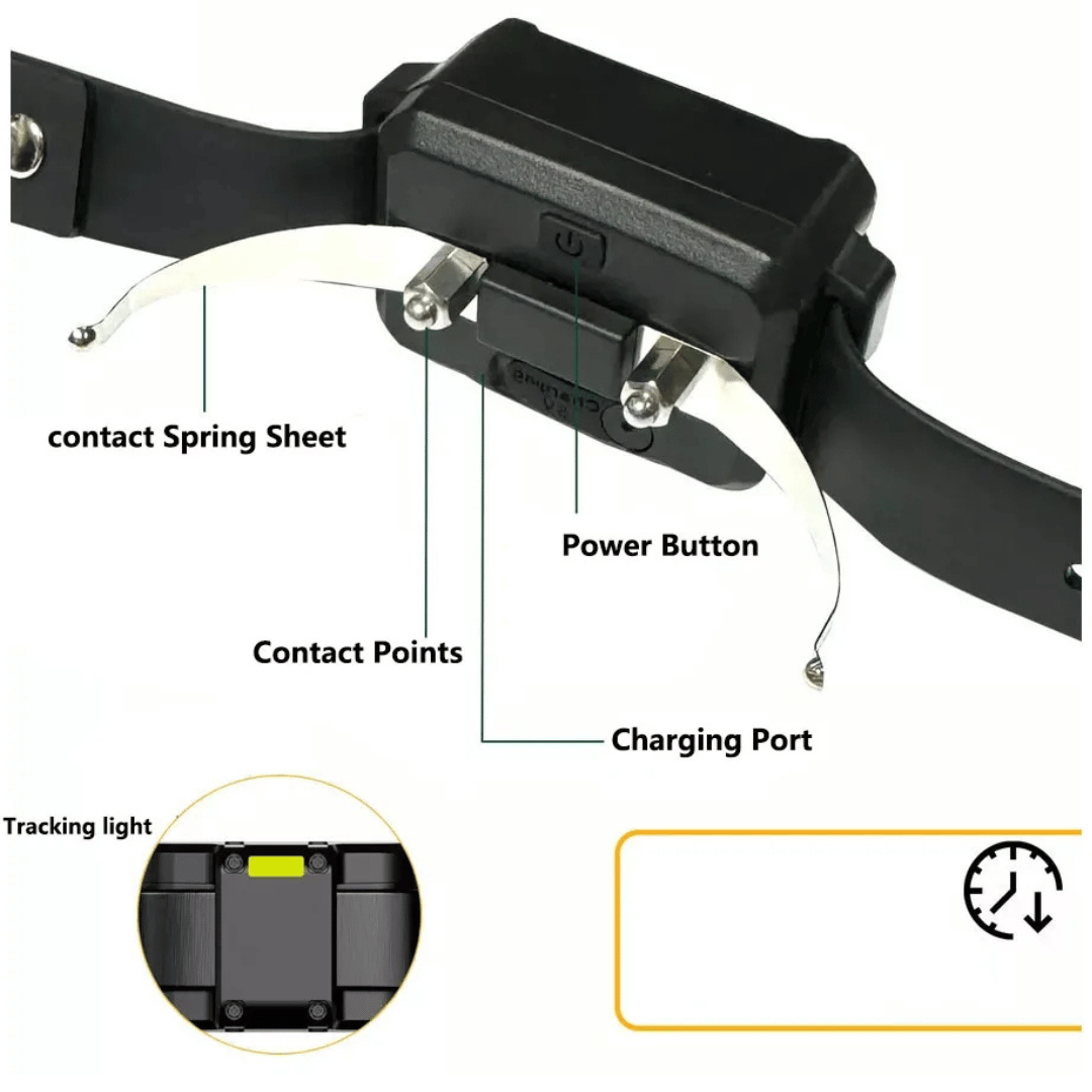 Long Range Remote Dog Training Collar Large Breed