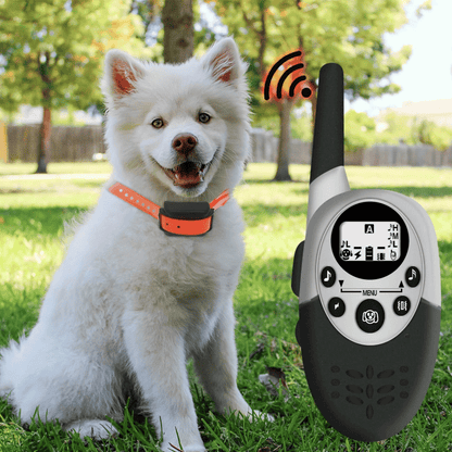 Waterproof Dog Training Collar Long Range Set