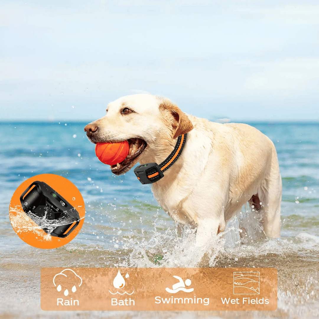 Long Range Dog Training Collar Remote