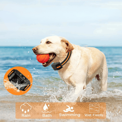 Long Range Dog Training Collar Remote