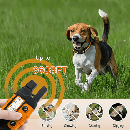 Long Range Dog Training Collar Remote
