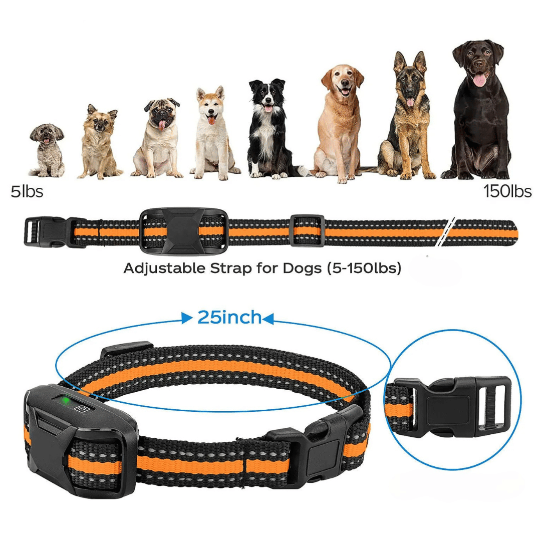 Long Range Dog Training Collar Remote