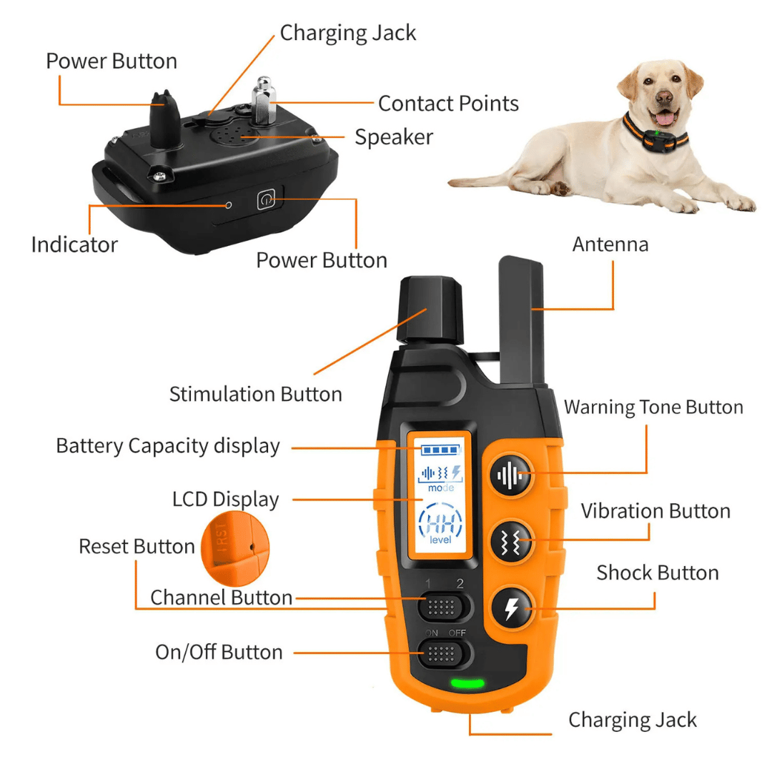 Long Range Dog Training Collar Remote