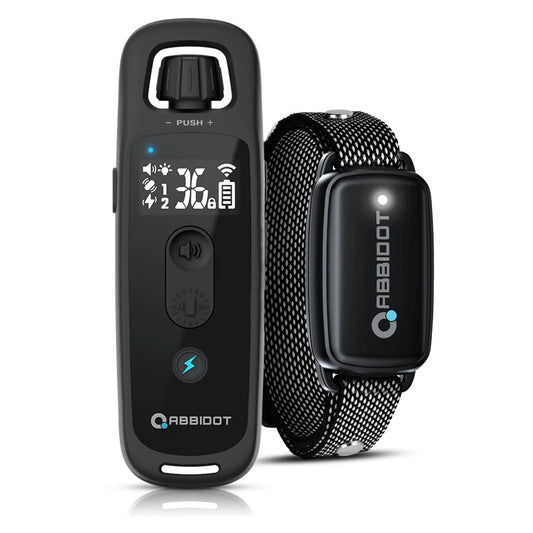 Long Range Dog Trainer Collar With Remote - Pupporia