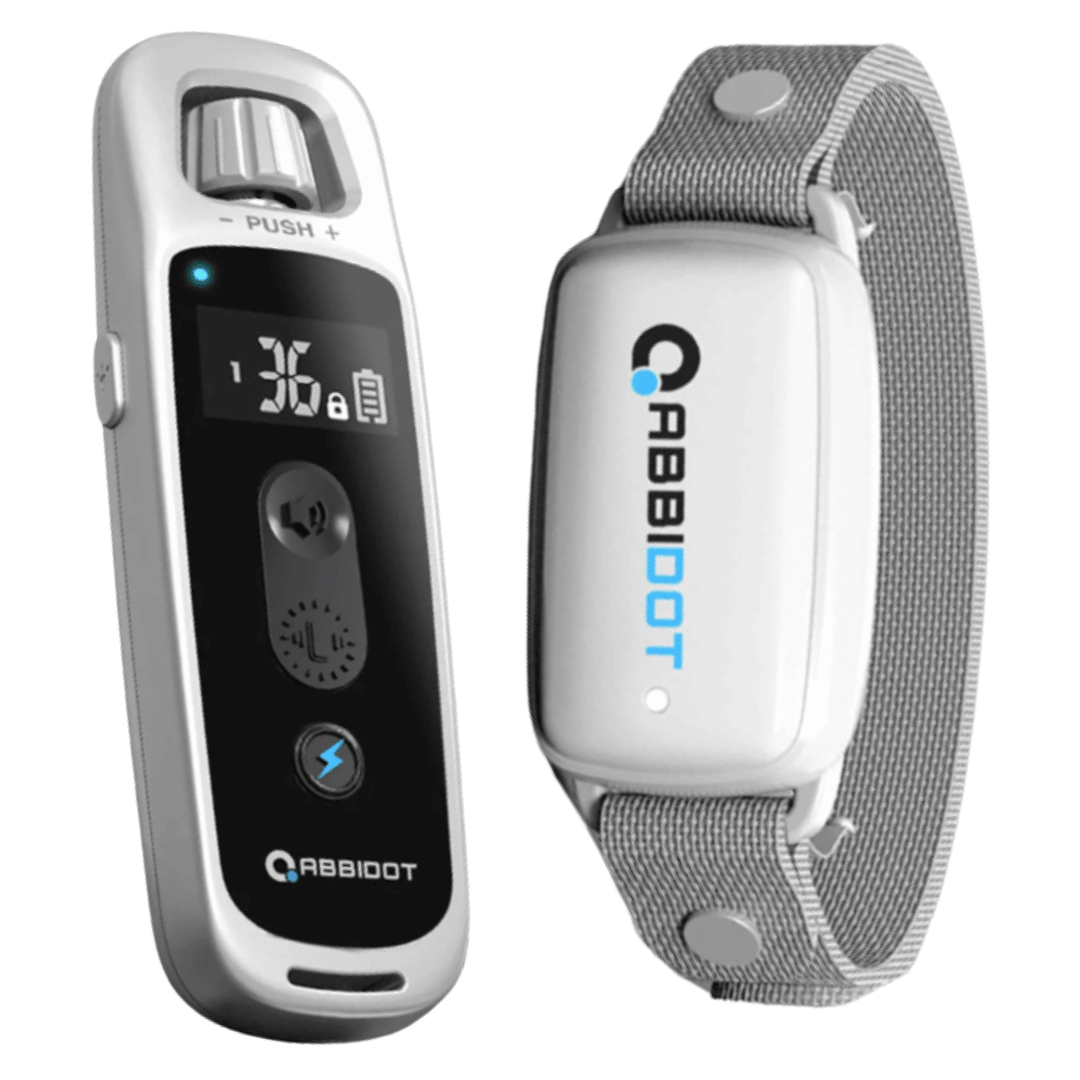 Long Range Dog Trainer Collar With Remote