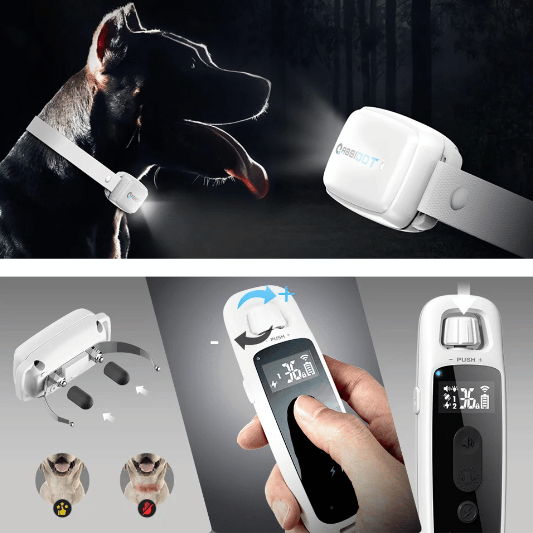 Long Range Dog Trainer Collar With Remote