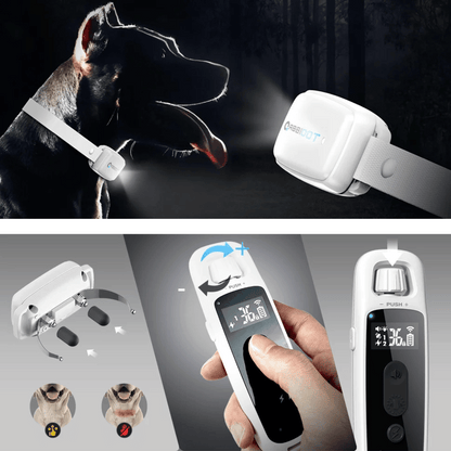 Long Range Dog Trainer Collar With Remote