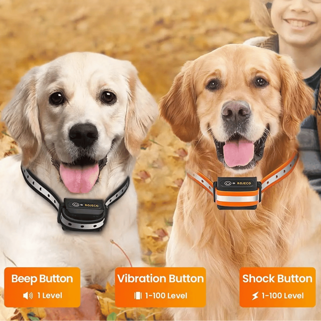 Waterproof Dog Training Collar Adjustable Strap