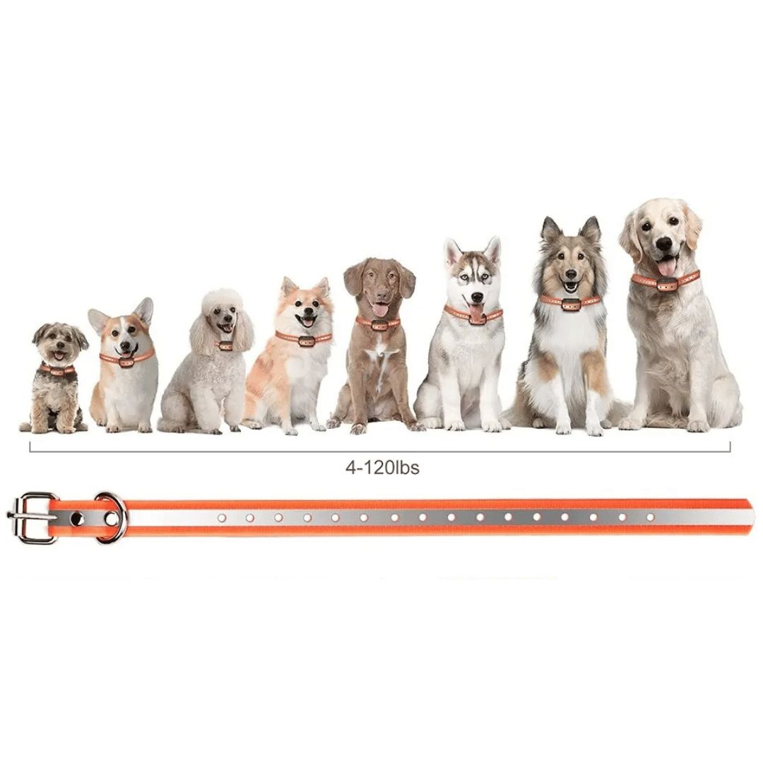 Waterproof Dog Training Collar Adjustable Strap