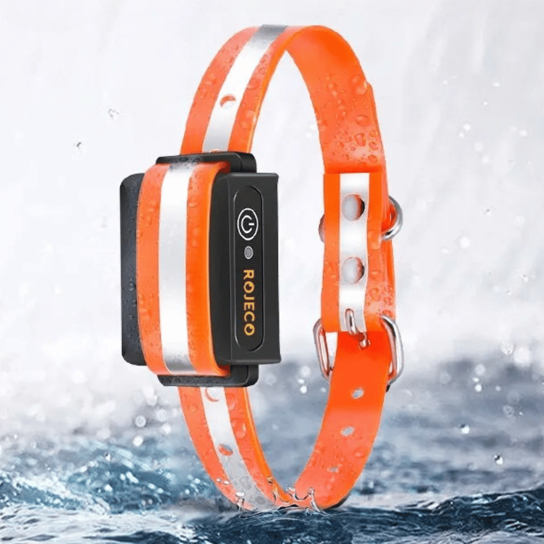 Waterproof Dog Training Collar Adjustable Strap
