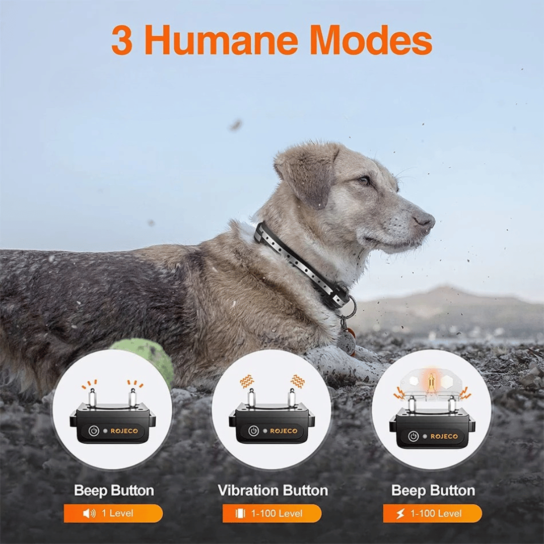 Waterproof Dog Training Collar Adjustable Strap