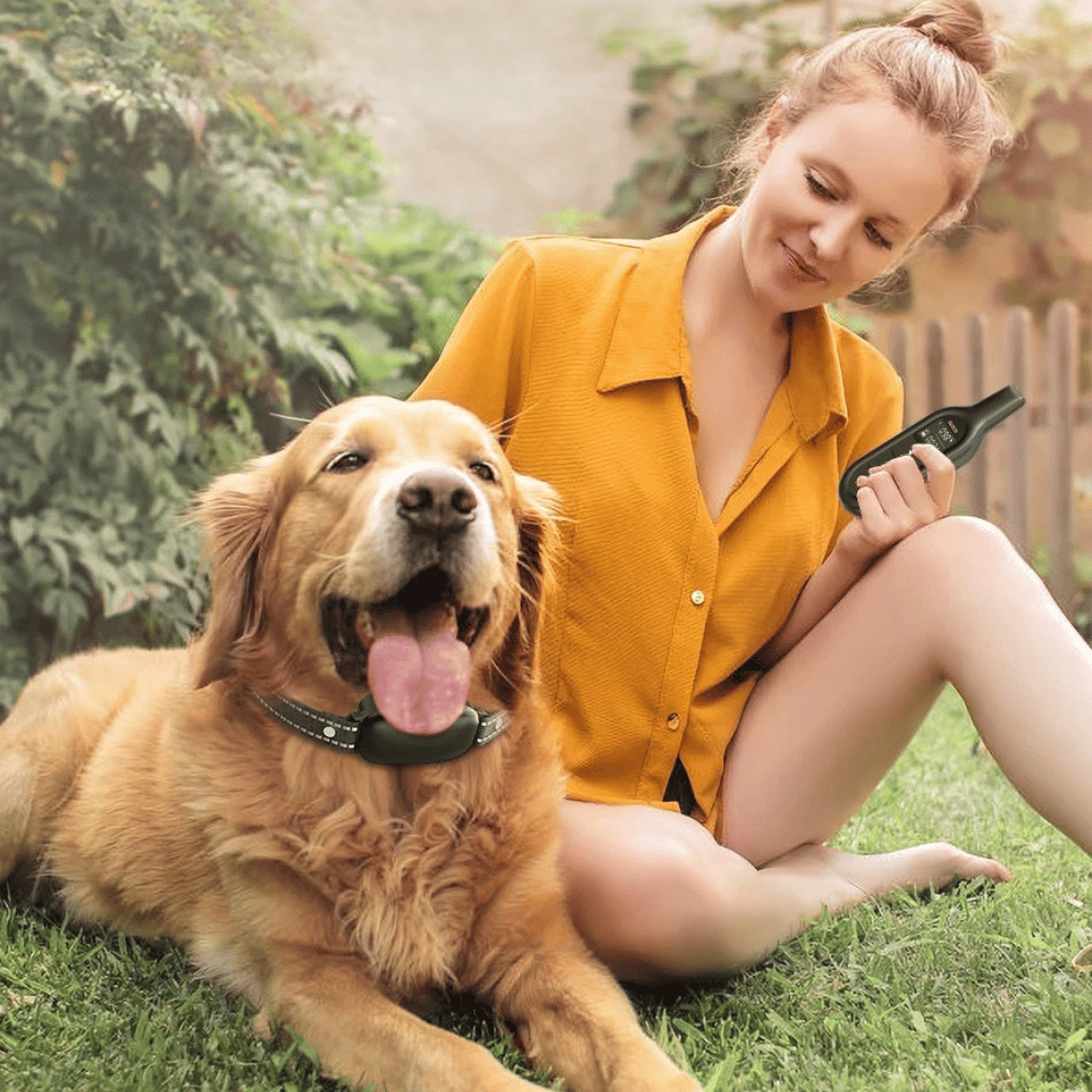 Dog Training Collar Remote Control