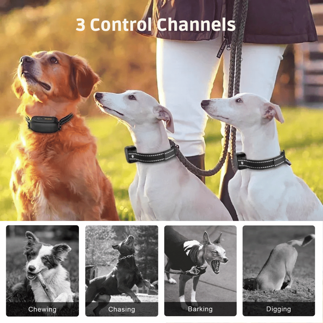 Dog Training Collar Remote Control