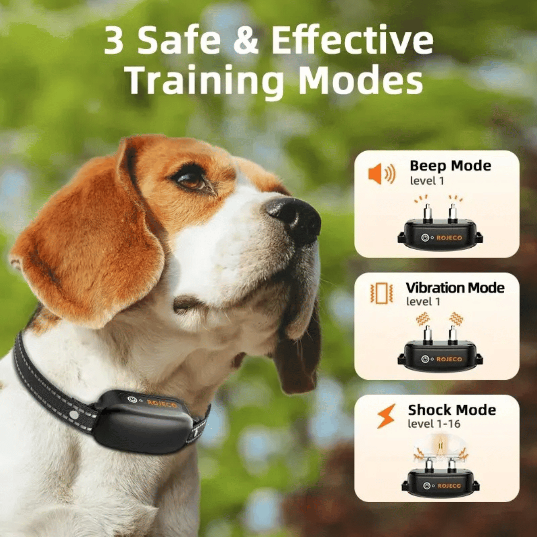 Dog Training Collar Remote Control